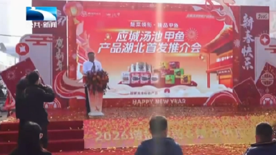 湖北年货添“硬菜” 应城汤池甲鱼亮相江城