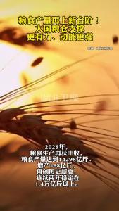 粮食产量再上新台阶！大国粮仓支撑更有力、动能更强