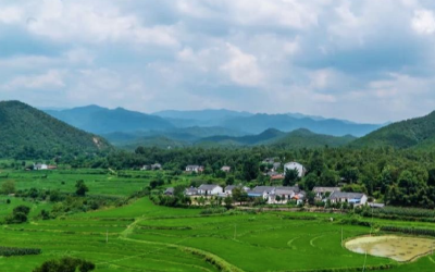 2025年国家乡村振兴示范县创建名单公示，湖北5地入选