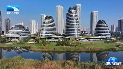 2026年1月12日湖北新闻