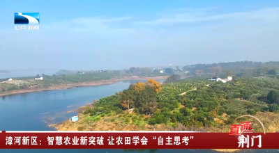 荆门漳河新区：智慧农业新突破 让农田学会“自主思考”