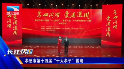 孝感市第十四届“十大孝子”揭晓