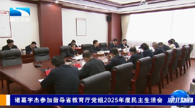 诸葛宇杰参加指导省教育厅党组2025年度民主生活会