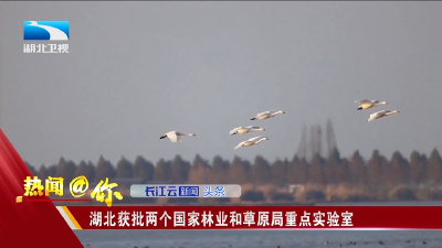 湖北获批两个国家林业和草原局重点实验室