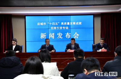 合同引资额约3000亿元 应城晒出“十四五”招商引资“成绩单”