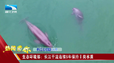 生态环境部：长江干流连续6年保持Ⅱ类水质