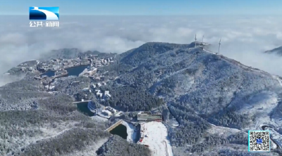 2026年1月4日长江新闻