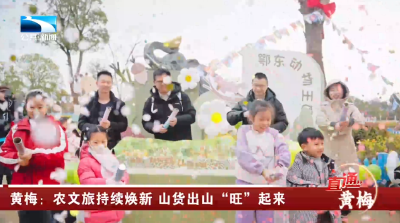 黄梅：农文旅持续焕新 山货出山“旺”起来