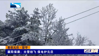襄阳保康：大雪纷飞 保电护元旦