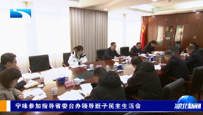 宁咏参加指导省委台办领导班子民主生活会