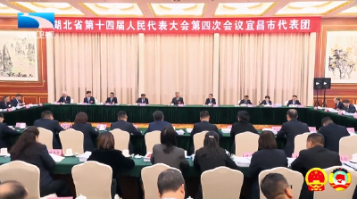 李殿勋参加省十四届人大四次会议宜昌代表团审议