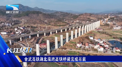 合武高铁湖北段跨高铁桥梁完成吊装