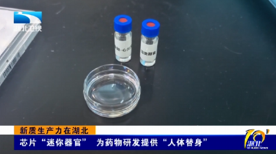 新质生产力在湖北 | 芯片“迷你器官” 为药物研发提供“人体替身”