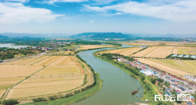 总产量增幅全省第一 黄石粮食生产跑出“加速度”