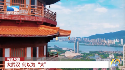 两会观察｜大武汉 何以为“大”