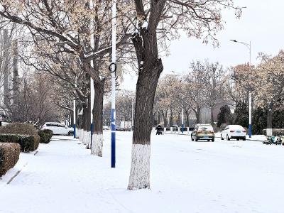 开车、骑车、步行 雨雪天气出行注意这些