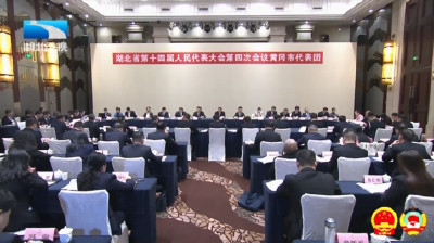 孙伟参加省十四届人大四次会议黄冈代表团审议 抢抓多重战略叠加机遇 着力打造全国革命老区高质量发展先行区