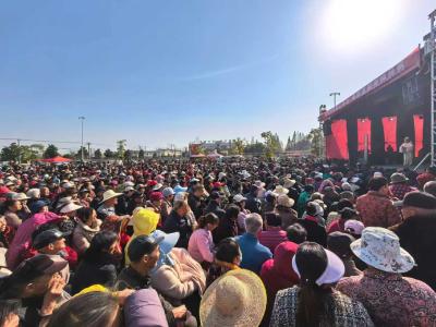 潜江2026年新春文化活动来啦！涵盖全民联欢、非遗灯会等五大板块