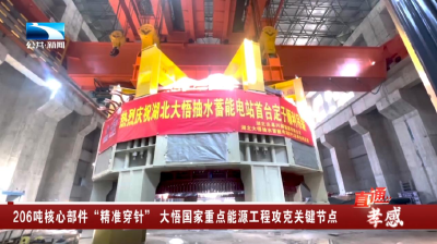 206吨核心部件“精准穿针” 孝感大悟国家重点能源工程攻克关键节点