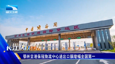 鄂州空港保税物流中心进出口额增幅全国第一