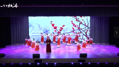 小牡丹—《咏梅》