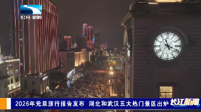 元旦消费喜迎“开门红” 湖北三天揽金超209亿元