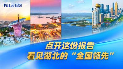 点开这份报告 看见湖北的“全国领先”