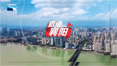 直通襄阳 | 聚焦民生关切 办好惠民实事