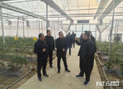 寒潮来袭！田间督导筑牢农业“防寒线”