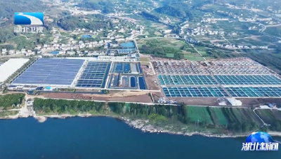 就业“长”在产业上 | 宜都：打造“金名片” 捧起“金饭碗”