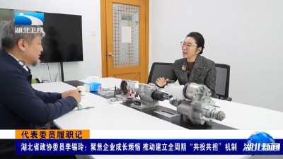 代表委员履职记 | 湖北省政协委员李锡玲：聚焦企业成长烦恼 推动建立全周期“共投共担”机制