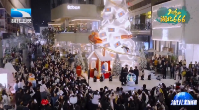 2026，湖北666！“散装”商圈探秘记