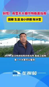 低温雨雪天 大棚作物稳赢指南来了