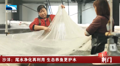 荆门沙洋：尾水净化再利用 生态养鱼更护水