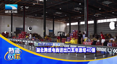 湖北跨境电商进出口五年激增40倍 