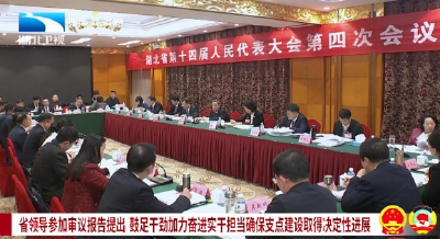 省领导参加审议报告提出 鼓足干劲加力奋进实干担当确保支点建设取得决定性进展