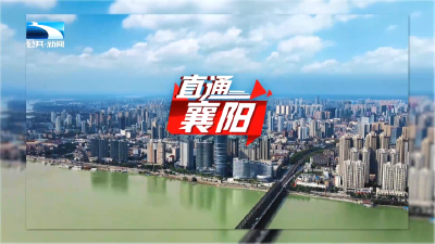 直通襄阳 | 谷城：产业攻坚筑根基 服务赋能启新程