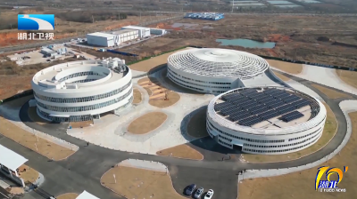 2026年1月8日湖北十分