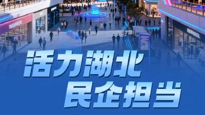 活力湖北，民企担当：澎湃崛起的先锋力量