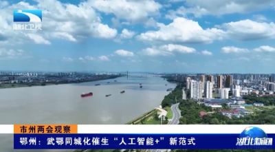 市州两会观察 | 鄂州：武鄂同城化催生“人工智能+”新范式