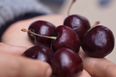 真相来了丨车厘子含褪黑素可助眠？颜色越深越甜吗？一文科普