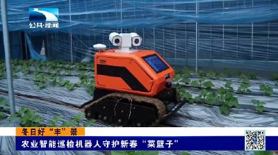 襄阳南漳：农业智能巡检机器人守护新春“菜篮子”