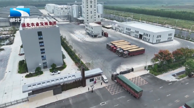 长江观察 | 土地入股+交叉持股 湖北国有农场走出产业融合新路