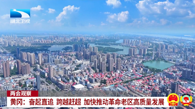 两会观察 | 黄冈：奋起直追 跨越赶超 加快推动革命老区高质量发展