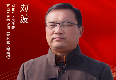 代表委员履职记 | 刘波：锚定航运发展 履职赋能通途