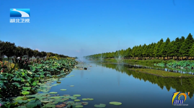 2026年1月23日湖北十分