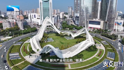 就业“长”在产业上 | 支点面对面 说说“长”的辩证法