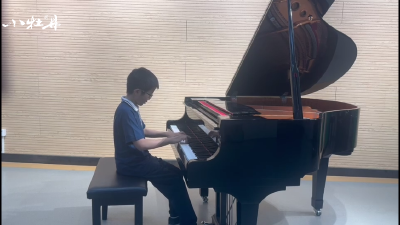 小牡丹—《辉煌的大圆舞曲》