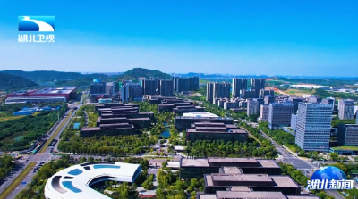 2026年1月19日湖北新闻