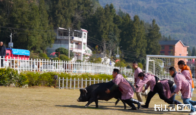 恩施来凤：刨汤宴解锁冬日最暖“食”光